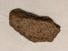 ostracon, image 3/3