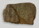 ostracon, image 4/4