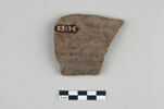 ostracon, image 1/4