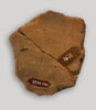 ostracon, image 2/4