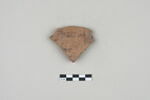 ostracon, image 1/2