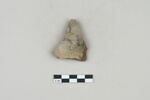 ostracon, image 1/2