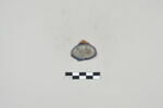 ostracon, image 1/2