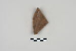 ostracon, image 2/2