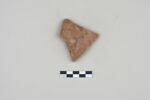ostracon, image 1/2
