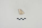 ostracon, image 1/2