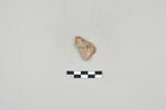 ostracon, image 2/2
