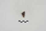 ostracon, image 2/2