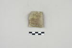 ostracon, image 2/2