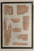 papyrus, image 3/6