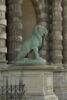 Lion assis, image 4/7