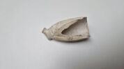pipe, fragment, image 2/5