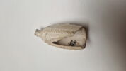 pipe, fragment, image 5/5