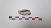 pipe, fragment, image 1/5