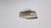 pipe, fragment, image 4/5