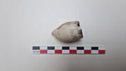 pipe, fragment, image 3/3