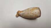 pipe, fragment, image 4/4