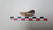 pipe, fragment, image 1/3