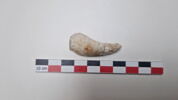 pipe, fragment, image 3/3