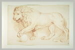 Un lion debout, tourné à gauche, image 2/2