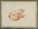 Une grenouille, tournée vers la droite, image 1/3