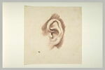 Une oreille gauche, image 2/2