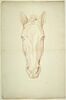 Tête de cheval, vue de face, image 1/2