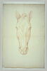 Tête de cheval, vue de face, image 2/2