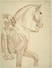 Partie antérieure d'un cheval et indication du cavalier, vus de profil vers la droite, image 1/2