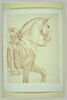 Partie antérieure d'un cheval et indication du cavalier, vus de profil vers la droite, image 2/2