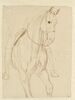 Partie antérieure d'un cheval et indication du cavalier, vus de trois quarts, image 1/2
