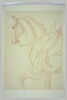 Partie antérieure d'un cheval et indication du cavalier, vus de profil vers la gauche, image 2/2