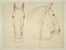 Deux têtes de cheval bridées, l'une de face et l'autre de profil, image 1/2
