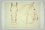 Deux têtes de cheval bridées, l'une de face et l'autre de profil, image 2/2