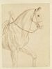 Partie antérieure d'un cheval harnaché, vu de profil vers la droite, et indication de la main du cavalier, image 1/2