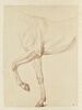 Cheval, vu du garrot aux hanches et des jambes antérieures, de profil, image 1/2