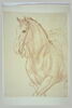 Partie antérieure d'un cheval jusqu'aux avant-bras et indication du cavalier, vus de trois quarts vers la gauche, image 2/2