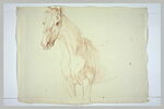 Tête, encolure et poitrail d'un cheval tourné de trois quarts vers la gauche, image 2/2