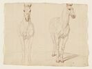 Cheval, vu de face ; cheval, vu de trois quarts vers la droite, image 1/2