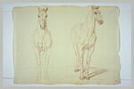 Cheval, vu de face ; cheval, vu de trois quarts vers la droite, image 2/2