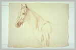 Tête, encolure et poitrail d'un cheval, tourné vers la gauche, image 2/2