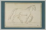 Cheval marchant au pas vers la droite, image 2/2