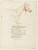 La tête et le poitrail d'un cheval avec indication de quelques muscles, image 1/2
