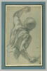 Soldat en buste, vu de dos, image 2/2