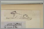 Lévrier couché et reprise de la patte avant, image 1/2