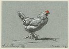 Une poule, image 3/3