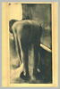 Femme s'essuyant les pieds, près de sa baignoire, image 2/2