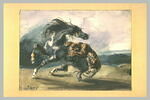 Tigre attaquant un cheval sauvage, image 2/2