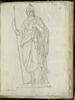 Minerve casquée, image 1/2