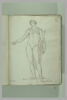 Jeune homme debout, nu, une draperie sur les épaules, ... ; Apollon, image 2/2